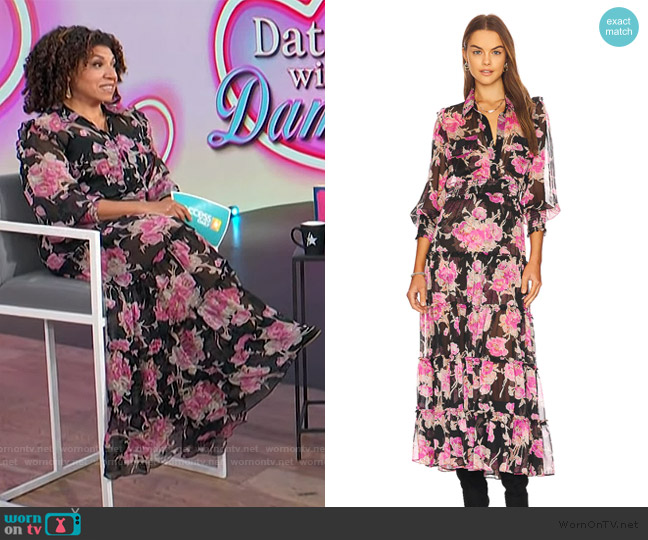 Misa Los Angeles Aydeniz Dress worn by Damona Hoffman on Access Hollywood