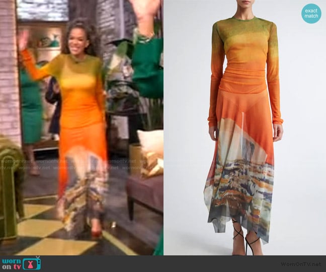 Monse Printed Mesh Hankerchief Hem Midi Dress worn by Sunny Hostin on The View