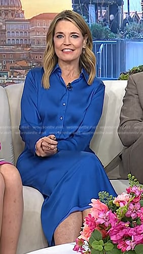 Savannah's blue shirtdress on Today