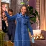 Sunny’s denim shirtdress on The View