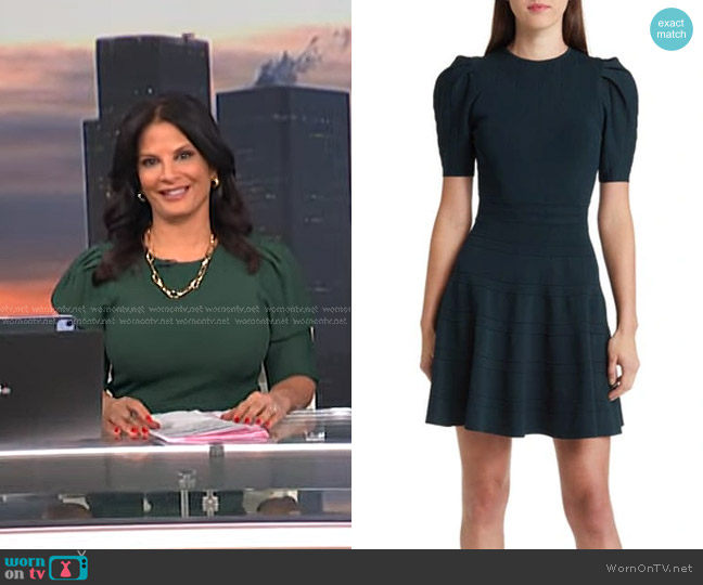 Ted Baker Velvey Puff Sleeve Dress in Green worn by Darlene Rodriguez on Today