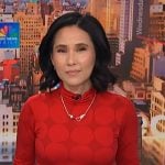 Vicky’s red circle print top on NBC News Daily