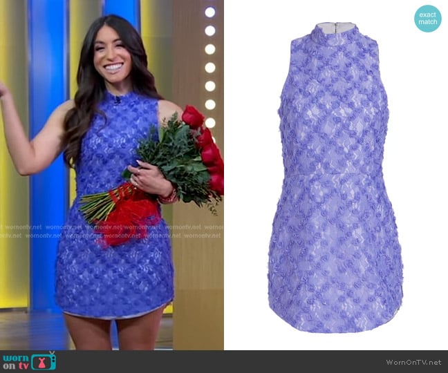 Amanda Uprichard Marshall Textured Lace Minidress worn by Erin Jensen on Good Morning America