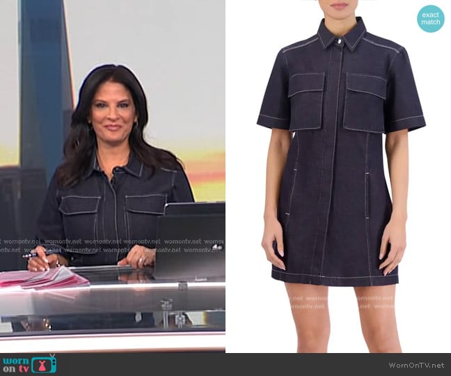 BCBG New York Denim Minidress worn by Darlene Rodriguez on Today