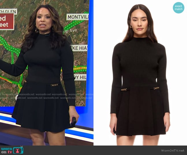 Derek Lam x RTR Mock Neck Mini Dress worn by Adelle Caballero on Today