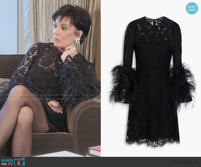 Valentino Ostrich Feather & Lace Long-Sleeve Dress worn by Kris Jenner (Kris Jenner) on The Kardashians