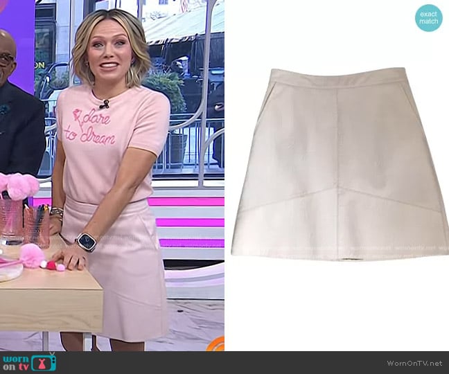 Zara Basic Collection Faux Leather Mini Skirt worn by Dylan Dreyer on Today