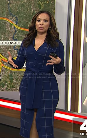 Adelle's blue windowpane dress on Today