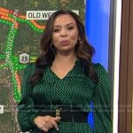 Adelle’s green print tie neck dress on Today