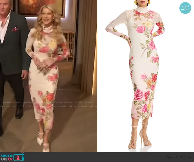 Joan Vassos’s floral print mesh dress on The Drew Barrymore Show