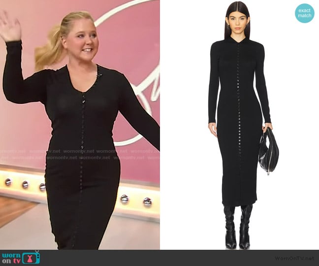 Amy Schumer’s black button front dress on Sherri