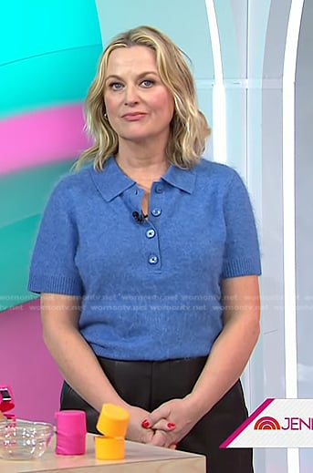 Amy Poehler's blue polo sweater on Today