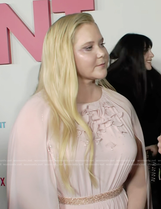 Amy Schumer’s pink floral applique maxi dress on E! News