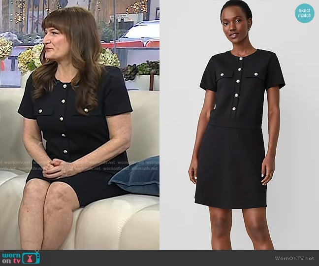 Ann Taylor Ponte Flare Dress worn by Ana Gasteyer on Today