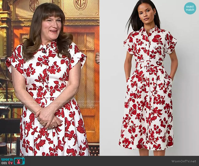 Ann Taylor Tropical Collared Midi Flare Dress worn by Ana Gasteyer on Today