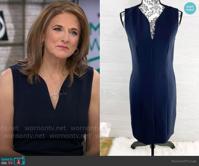 Hugo Boss Dency Dress worn by Jill Schlesinger on CBS Mornings