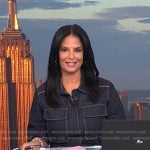 Darlene’s flap pocket denim dress on Today