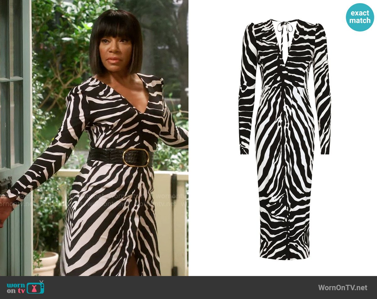 Dolce & Gabbana Zebra-print long-sleeve dress worn by Catherine (Wendy Raquel Robinson) on Poppas House