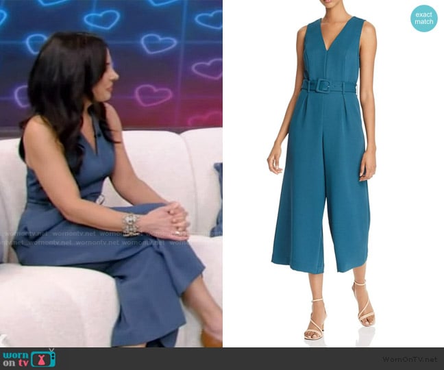 Joie Belted Sleeveless V Neck Wide Leg Jumpsuit worn by Dr Tara Narula on Live with Kelly and Mark