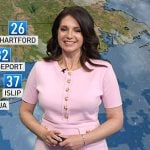 Maria’s pink button front dress on Today