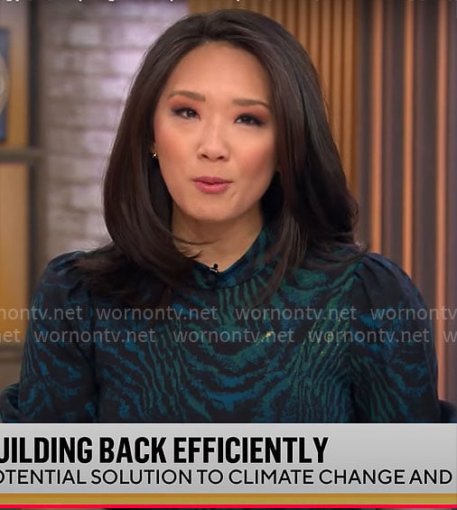 Nancy Chen's blue and green animal print midi dress on CBS Mornings