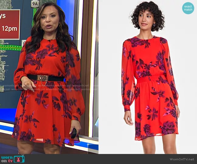 On 34th Floral-Print Long-Sleeve Mini Dress worn by Adelle Caballero on Today