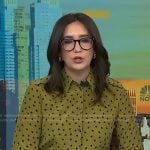 Savannah’s green star print shirt on NBC News Daily