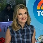 Savannah’s blue sleeveless plaid shirtdress on Today