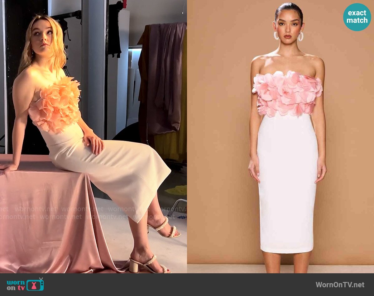 Sonya Moda Forl Petalo Dress worn by Belle Gibson (Kaitlyn Dever) on Apple Cider Vinegar