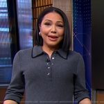 Stephanie’s grey polo dress on Good Morning America