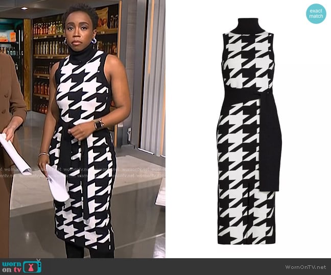 Zinhle’s houndstooth dress on NBC News Daily