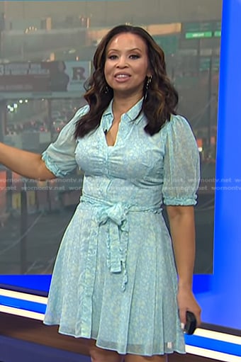 Adelle’s blue floral tie waist dress on Today