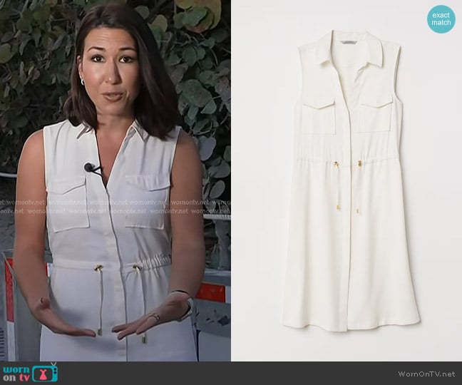 H&M Sleeveless Dress worn by Marissa Parra on Today