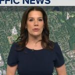 Heather’s navy button detail sheath dress on Good Morning America