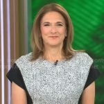 Jill Schlesinger’s speckled panel dress on CBS Mornings