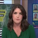 Liz Kreutz’s green pleated trim blouse on Today