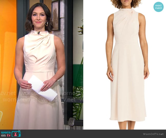 Maggy London Draped Bodice Flared Midi Dress in Horn worn by Ali Bauman on CBS Mornings