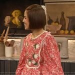 Molly Yeh’s red floral embroidered dress on The Drew Barrymore Show