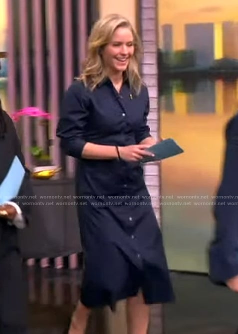 Sara's blue short sleeve shirtdress on The View