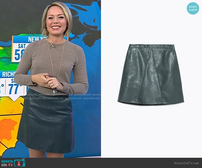 Zara Faux Leather Mini Skirt worn by Dylan Dreyer on Today