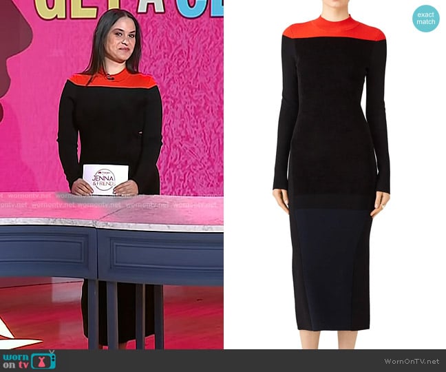 Diane von Furstenberg Mock Neck Knit Dress worn by Donna Farizan on Today