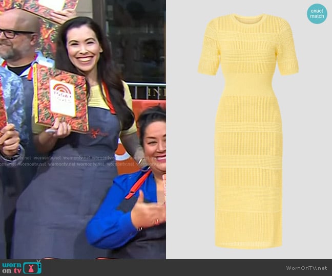 Jason Wu Collective Knit Midi Dress worn by Ali Rosen on Today