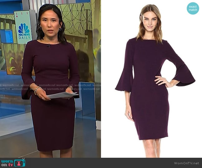 Calvin Klein Bell-Sleeve Sheath Dress worn by Vicky Nguyen on NBC News Daily
