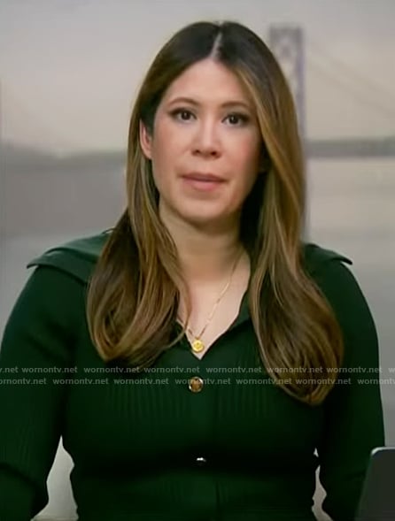 Deirdre’s green ribbed polo dress on NBC News Daily