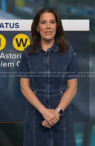 Heather's zip front denim dress on Good Morning America