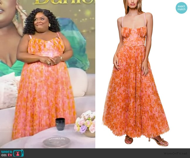 Hutch Amara Floral Tulle Gown worn by Danielle Pinnock on Tamron Hall Show