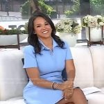 Laura’s blue collared short sleeve dress on Today