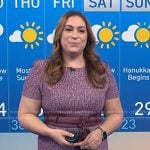 Violeta’s leather tie waist tweed dress on NBC News Daily