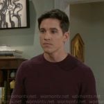 Smitty’s burgundy textured sweater on Beyond the Gates