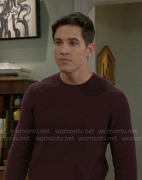 Smitty's burgundy textured sweater on Beyond the Gates